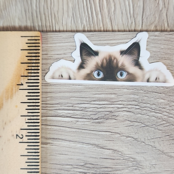 Pet Stickers 10 for $10 Dogs Puppy Cats Kitten Pets Animal Sticker - Picture 1 of 3